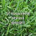 St Augustine Seville 400sqft (Partial Shade)