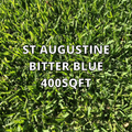 St Augustine Bitter Blue 400sqft