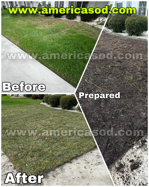 #1 installation (400sqft)